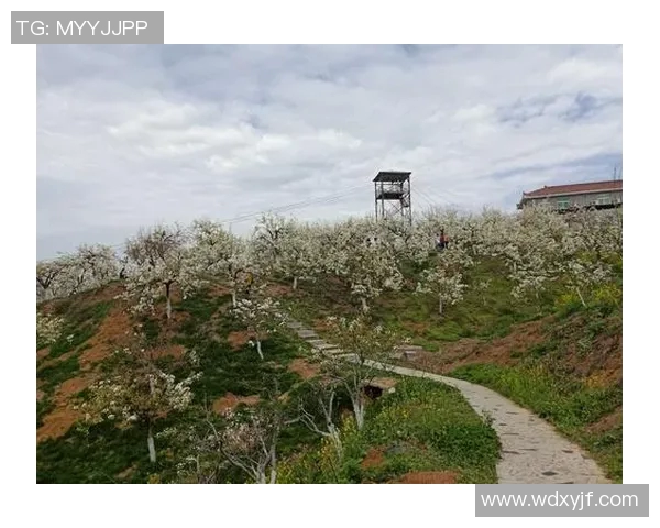 天下足球网全新改版上线足球迷的梦想平台尽在掌握中 天下足球网全新改版上线足球迷的梦想平台尽在掌握中