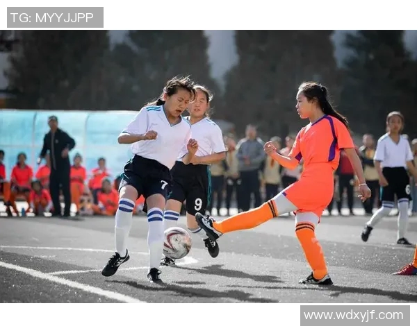 团结拼搏共铸辉煌足球团队精神的力量与魅力探讨